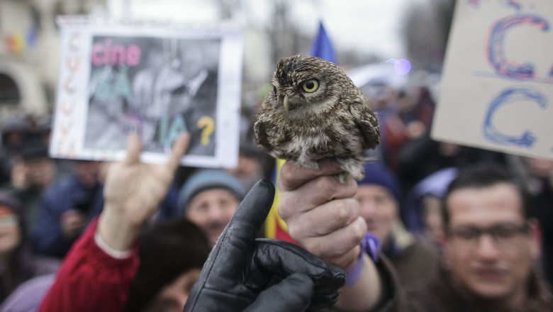 170206_PROTEST_COTROCENI_ZIUA2_01_INQUAM_PHOTOS_Octav_Ganea