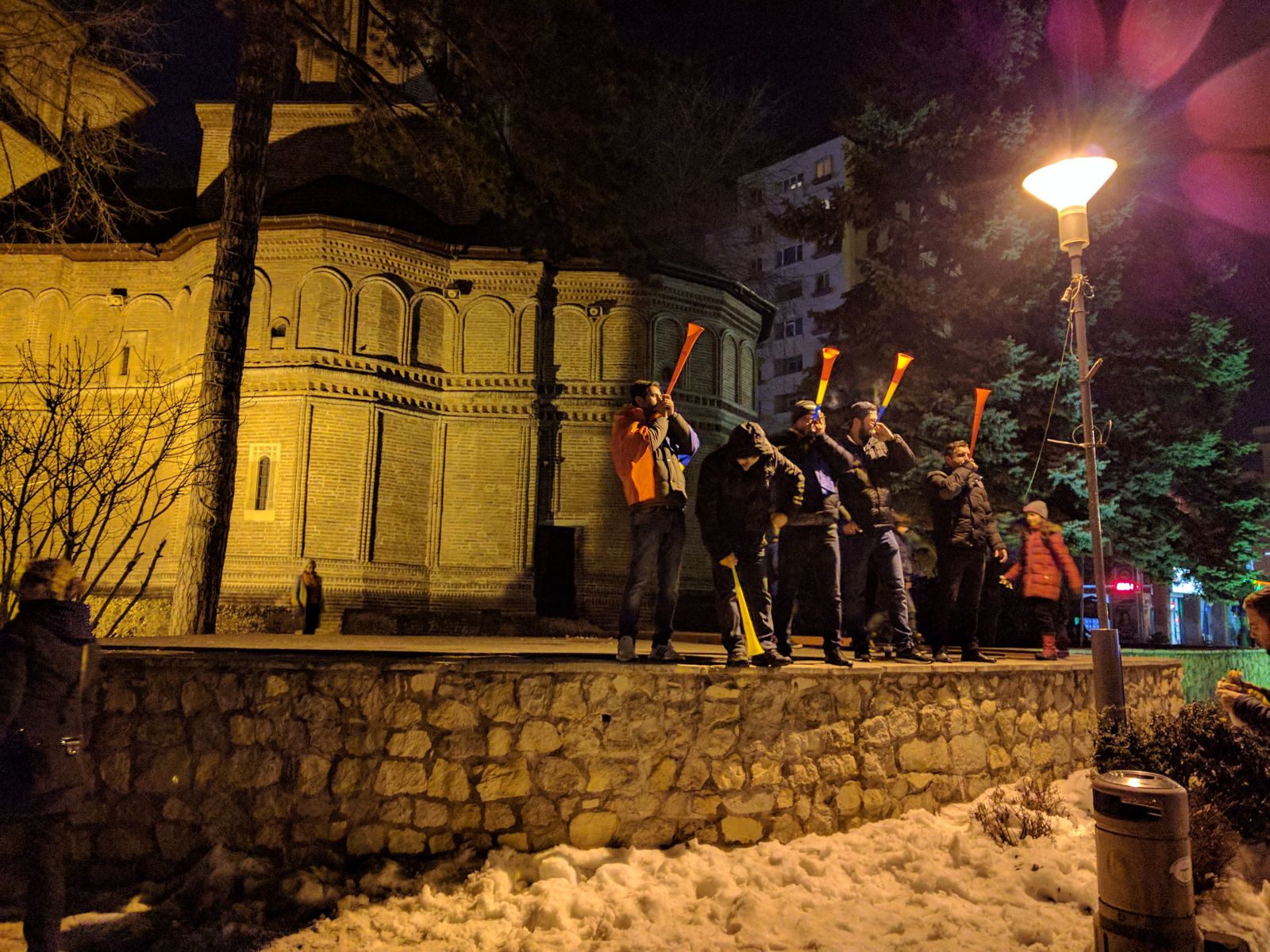 protest la Pitesti 030217 (9)