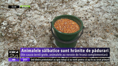 HRANA ANIMALE