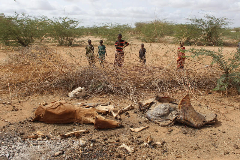 Refugees Flock To Dadaab As Famine Grips Somalia