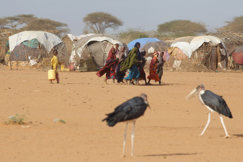 Refugees Flock To Dadaab As Famine Grips Somalia