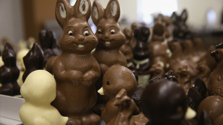 Chocolate Easter Bunny Production At Confiserie Felicitas