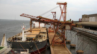 export-grau-constanta-57b5db3ad0538