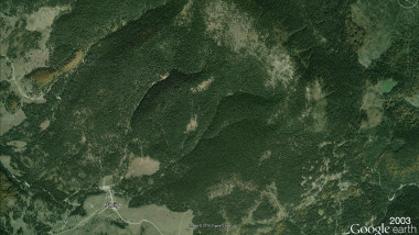 Padis-Evoluția-comparativă-a-suprafețelor-împădurite-din-Bihor-în-ultimii-10-ani-2sec