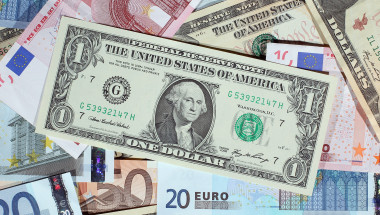 bani euro dolari