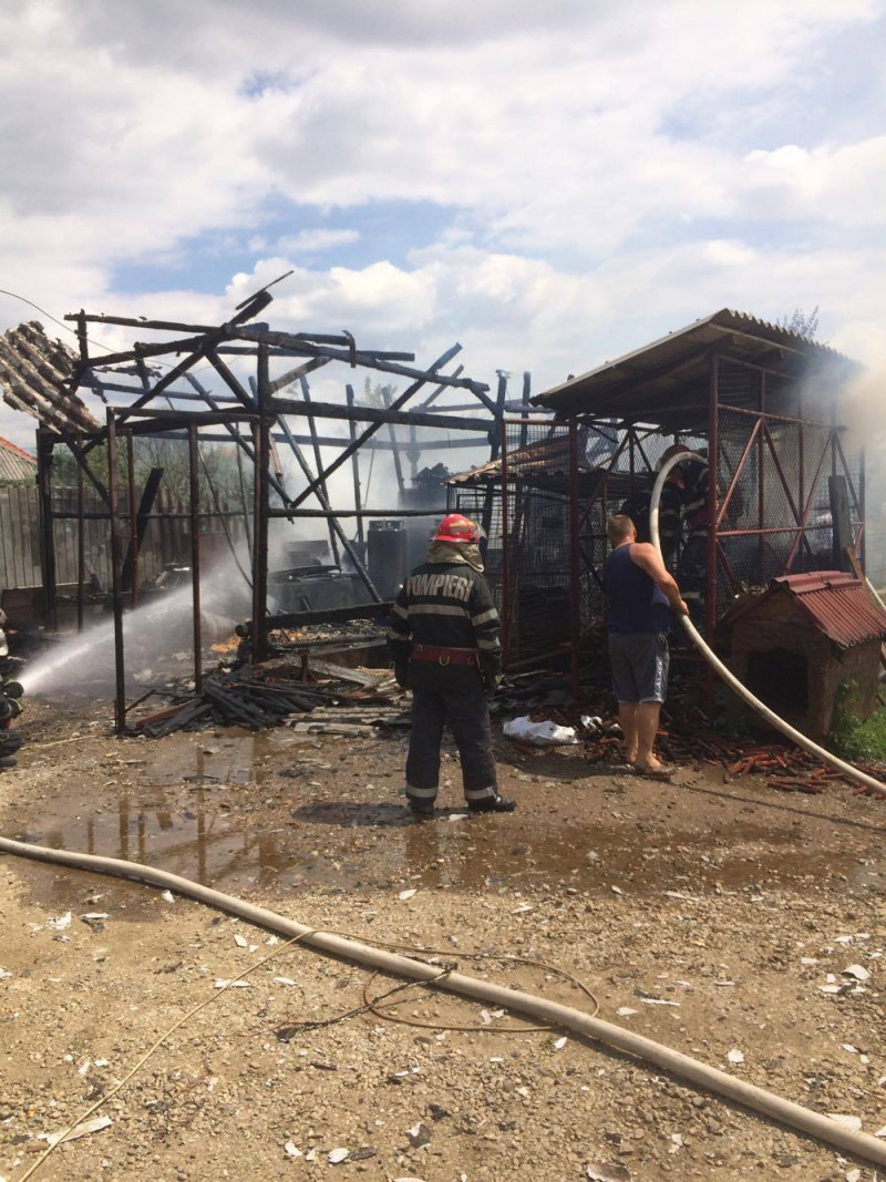 incendiu butelii Sintandrei (10)