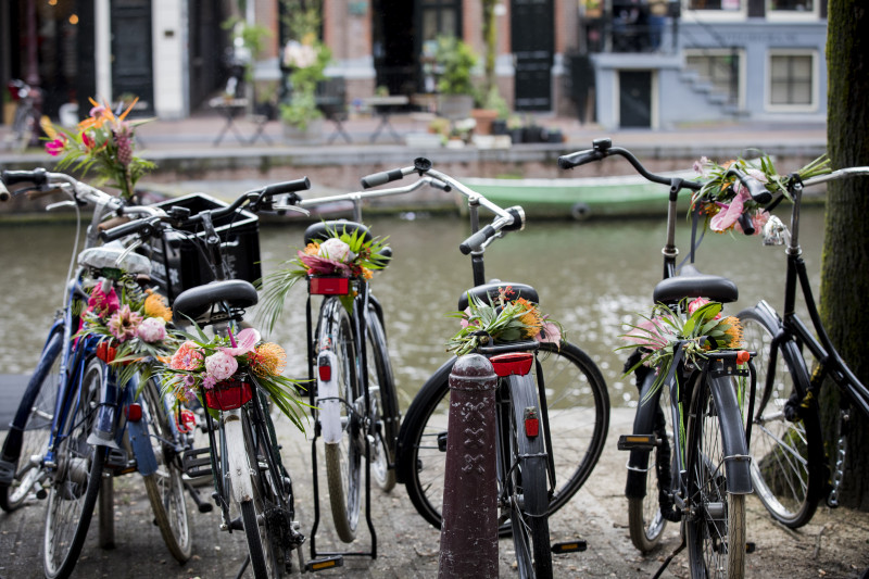 amsterdam canal biciclete flori
