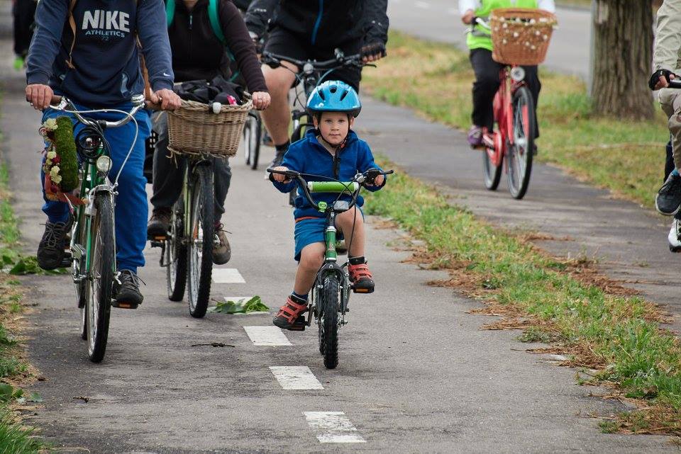 biciclete Ladislau2