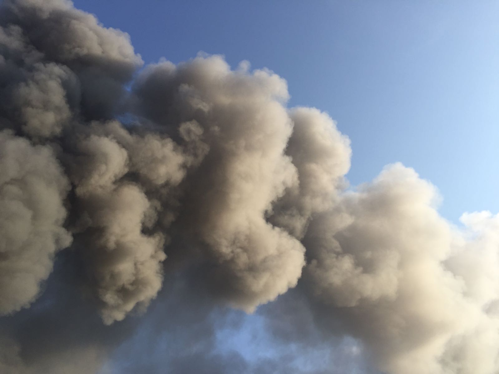 incendiu Balotesti 15 270617