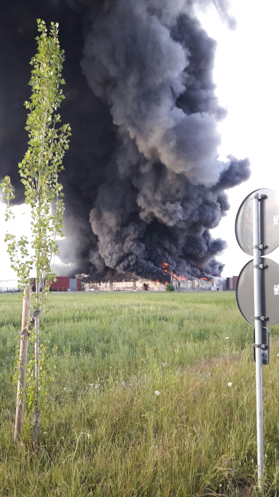 incendiu Balotesti 26 270617