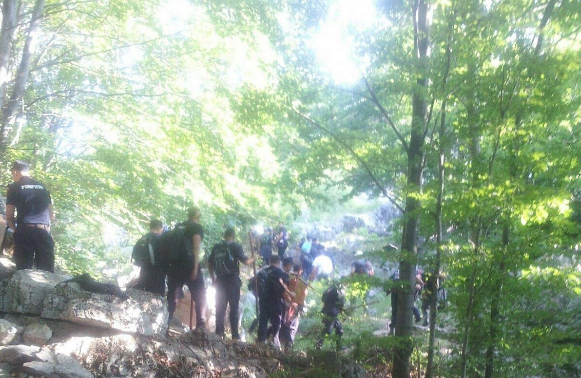 Incendiul de pădure din Mehedinţi a fost stins de pompieri. A fost afectată o suprafață de aproximativ 130 de hectare