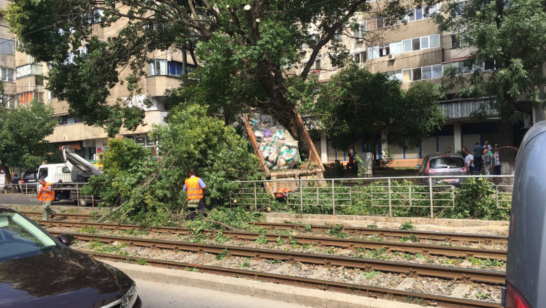 copac cazut pe linia de tramvai Rahova 1 250717