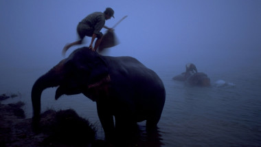 elefanti apa nepal GettyImages-946131