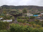 vacanta Tenerife 120817 (34)