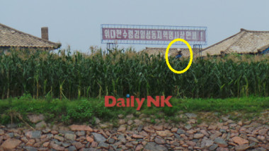 Un femier stă de pază în provincia Pyongan. Foto: Daily Nk