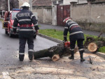 pompieri interventii Beius 200917 (7)