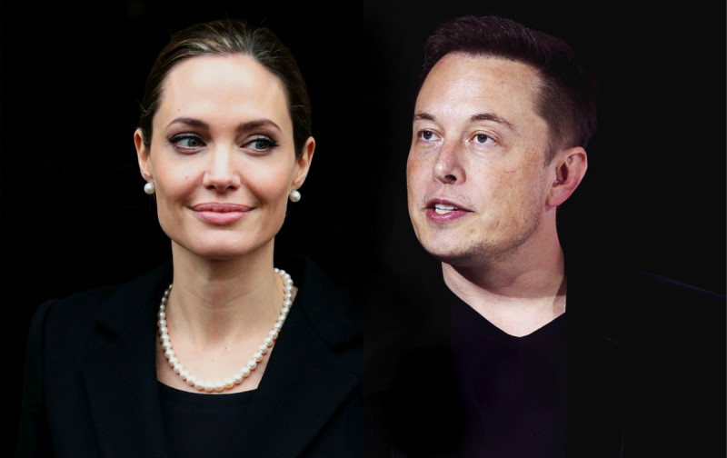 angelina elon