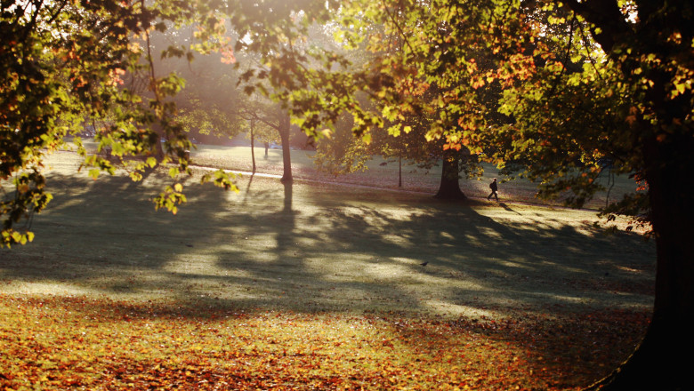 Autumn Colours Throughout The UK