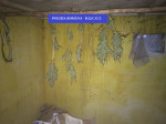 FOTO_4_PERCHEZITII_BCCO_CANNABIS