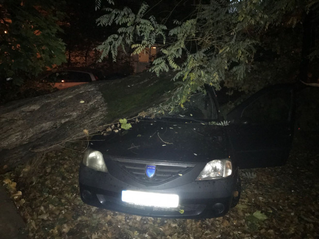 Copac cazut pe masina Sect 6 (2)