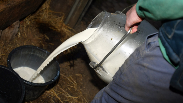 Feature On Milk Farming