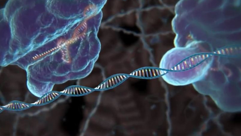Despre genetica cancerului: este cancerul ereditar? Tipuri cancer genetic