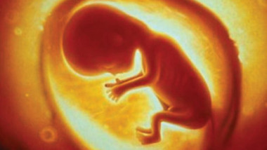 Unborn-child-copy-700x469