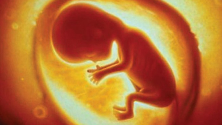 Unborn-child-copy-700x469