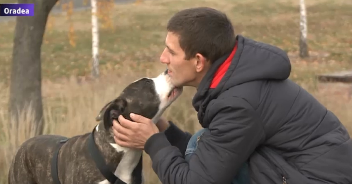 | Reacția unei cățelușe care și-a revăzut stăpânul după 4 luni | Digi24