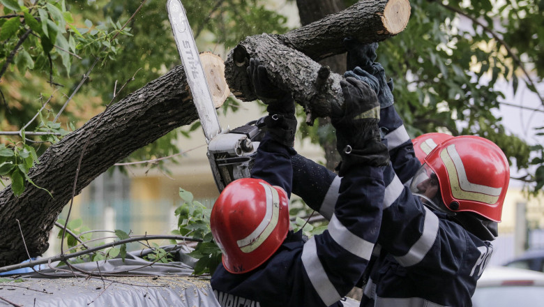 pompierii taie un copac doborat de furtuna