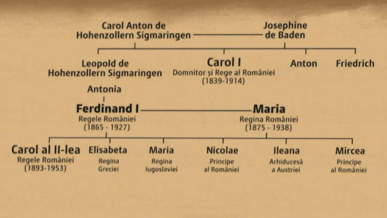 Arborele genealogic al familiei tale