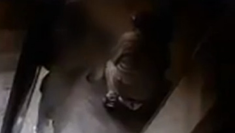 Volcanic Five Gently VIDEO. Încă un caz șocant de pedofilie în București, surprins de camerele  de supraveghere din lift | Digi24