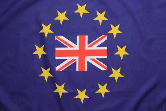 EU Referendum - Signage And Symbols