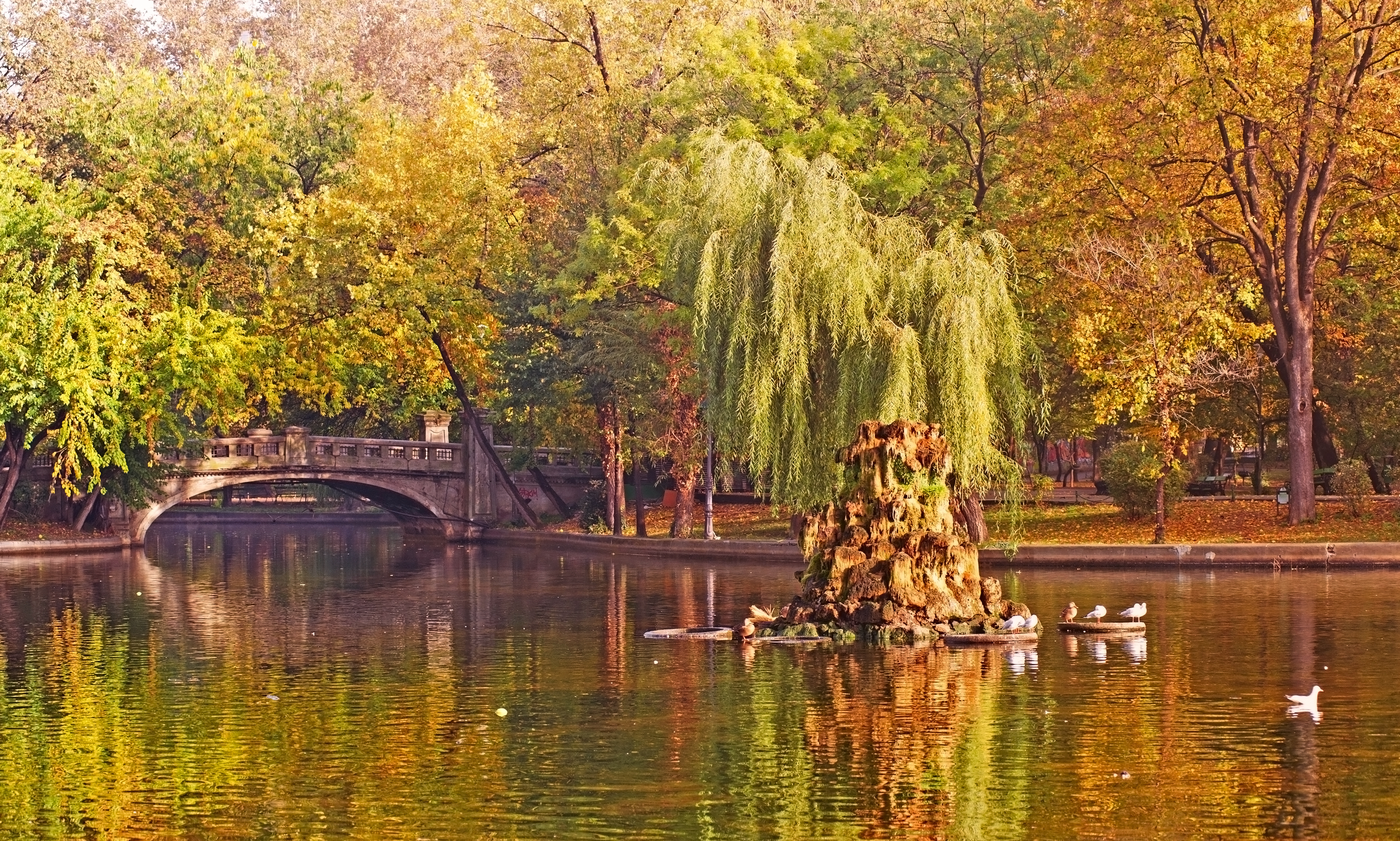 Vremea se încălzește din nou: zonele în care vor fi 20 de grade. Prognoza anunțată de meteorologi pentru săptămâna viitoare