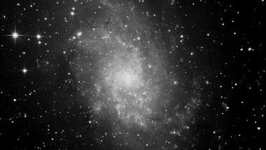 M33