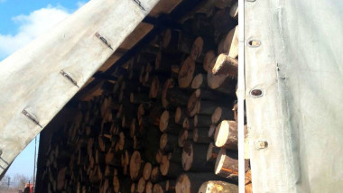 camion lemne confiscare jandarmi Bihor