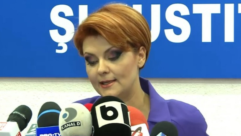 vasilescu olguta