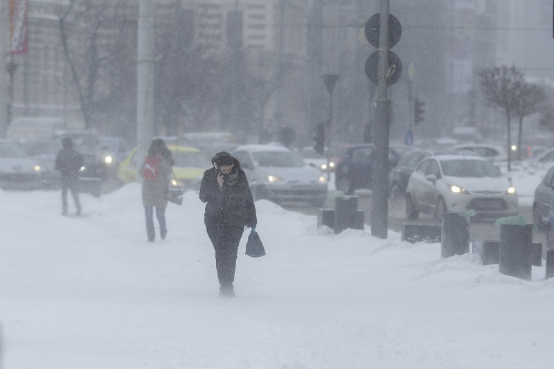 iarna zapada 180227_VISCOL_BUCURESTI_05_INQUAM_Photos_Octav_Ganea