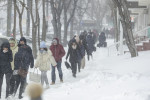 iarna zapada 180227_VISCOL_BUCURESTI_04_INQUAM_Photos_Octav_Ganea