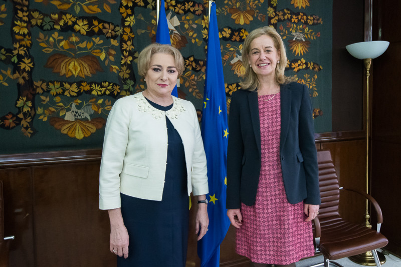 dancila ambasadoare olanda gov ro