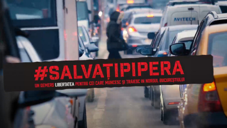 salvatipipera