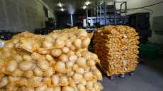 cartofi cartofi in sac depozit shutterstock_569242276