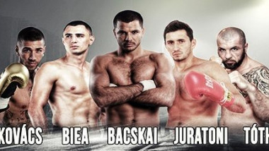 box profesionist Oradea