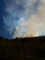 incendii munte Maramures (1)