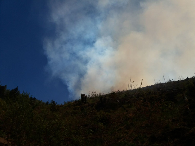 incendii munte Maramures (9)