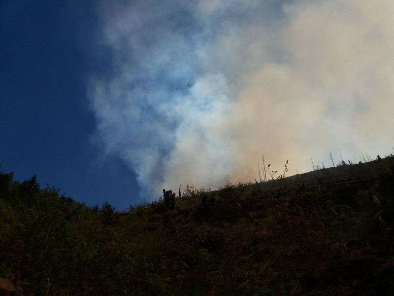 incendii munte Maramures (9)