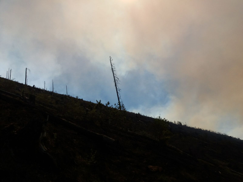 incendii munte Maramures (10)