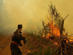 incendii munte Maramures (2)