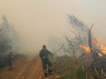 incendii munte Maramures (3)