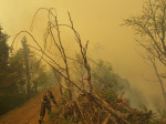 incendii munte Maramures (4)